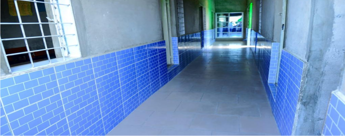 Tiger transfer portal